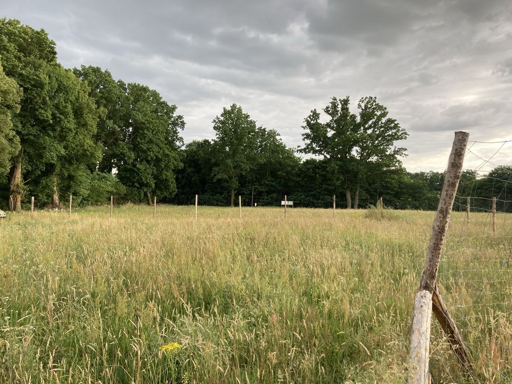 Działka budowlana Trzebiechów