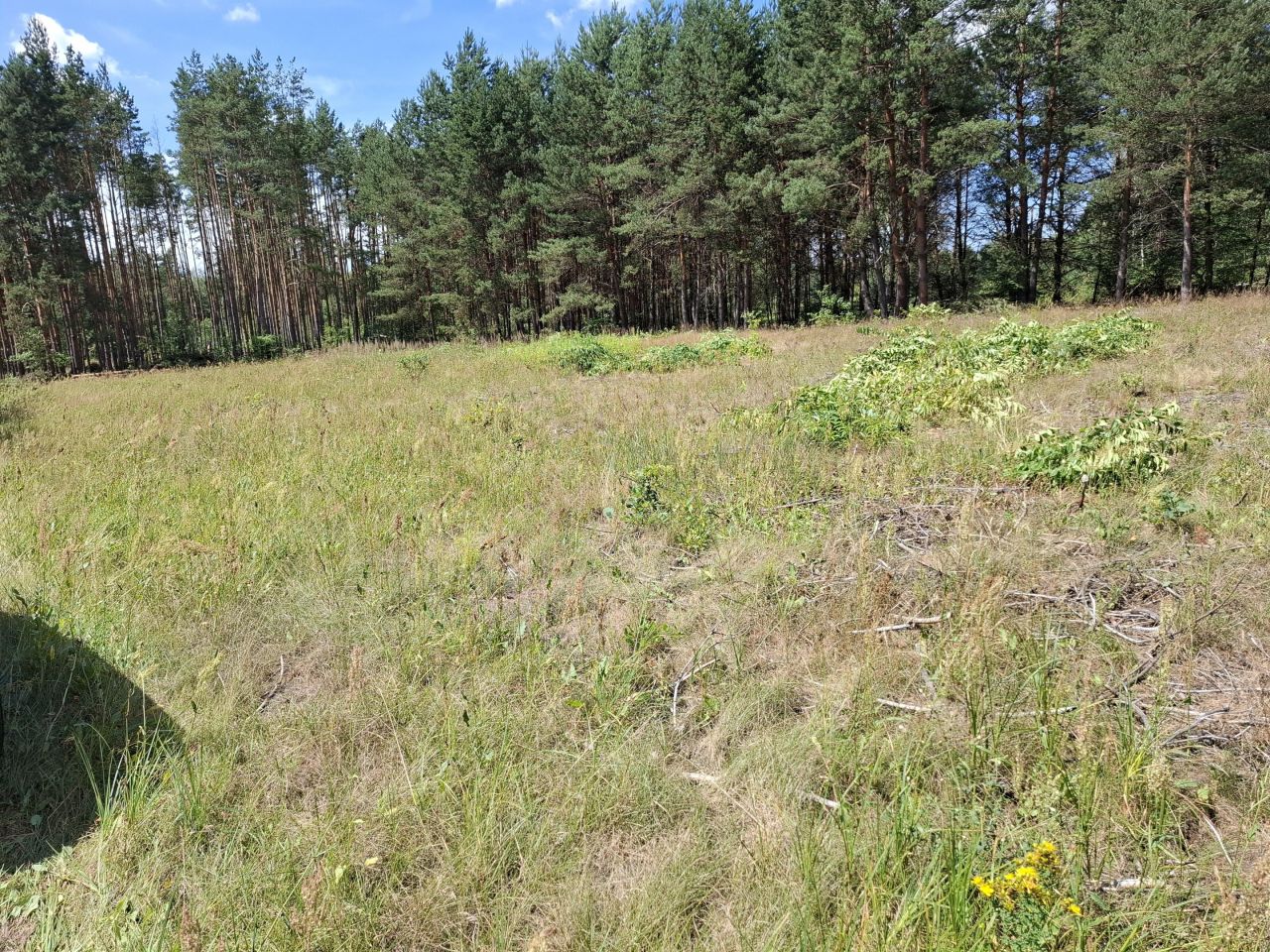 Działka budowlana Stany Kopanina, ul. Kopanina. Zdjęcie 4