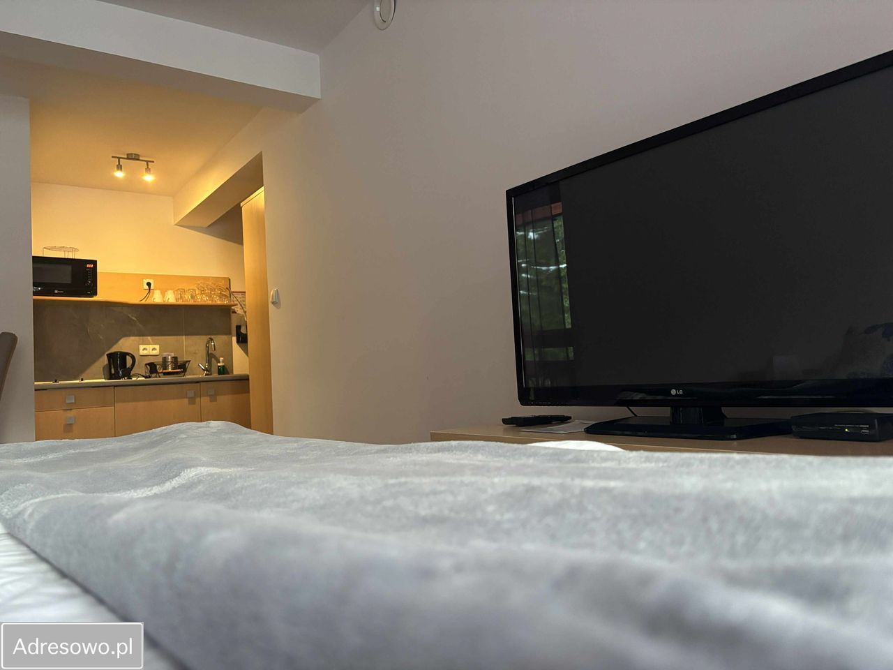 Mieszkanie 1-pokojowe Kościelisko, ul. Strzelców Podhalańskich. Zdjęcie 3