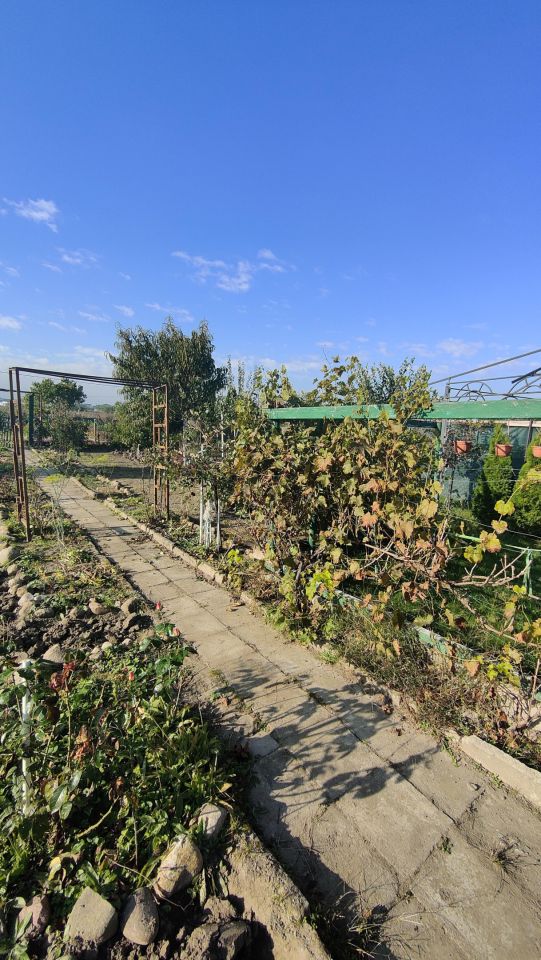 Działka rod Gurostwo. Zdjęcie 3