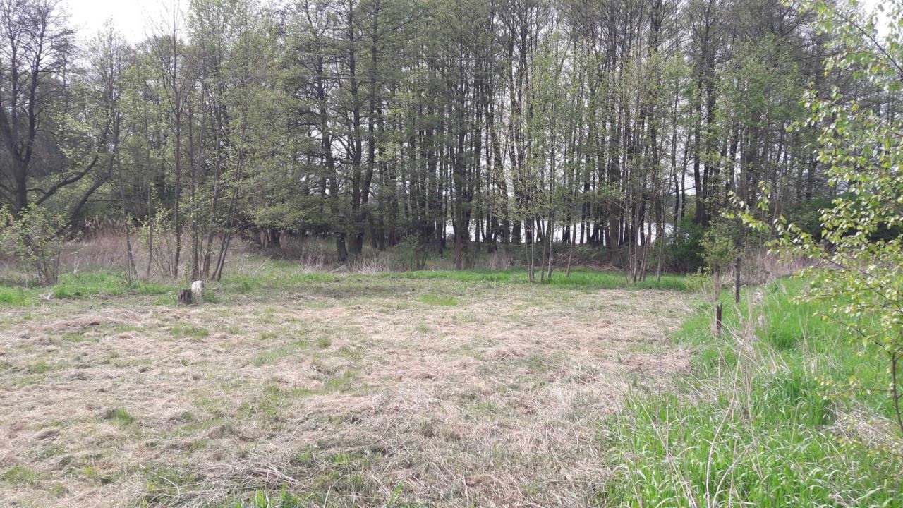 Działka rekreacyjna Łazice. Zdjęcie 7