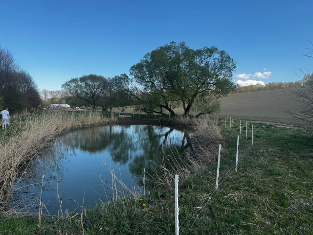 Działka rolno-budowlana Błędowa Zgłobieńska. Zdjęcie 1