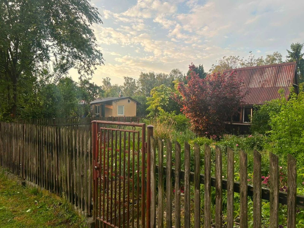 Działka rod Zaborze. Zdjęcie 7