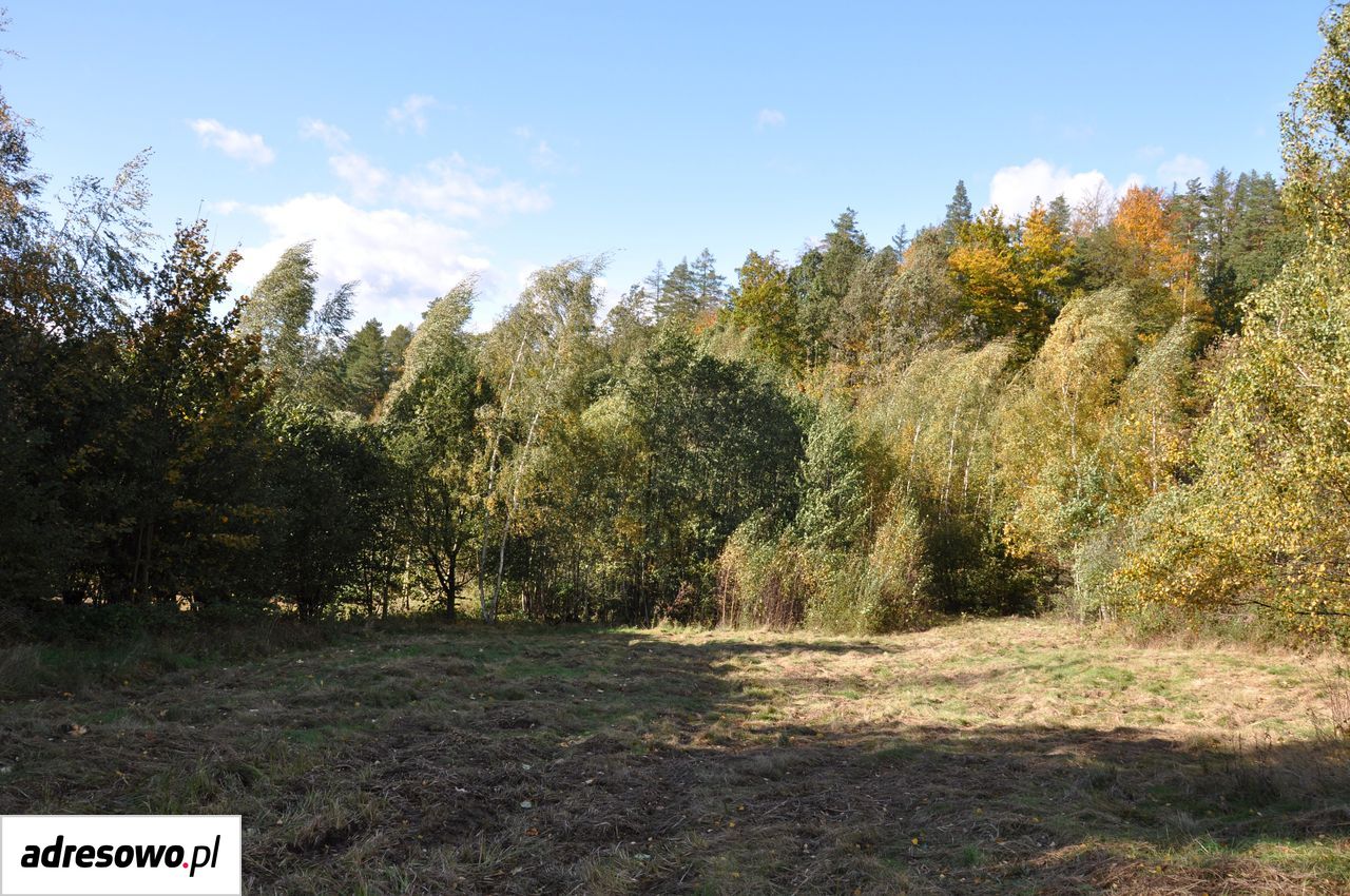 Działka rolno-budowlana Gruszków. Zdjęcie 11
