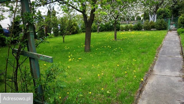 Działka rekreacyjna Bydgoszcz Czyżkówko, ul. Siedlecka. Zdjęcie 1