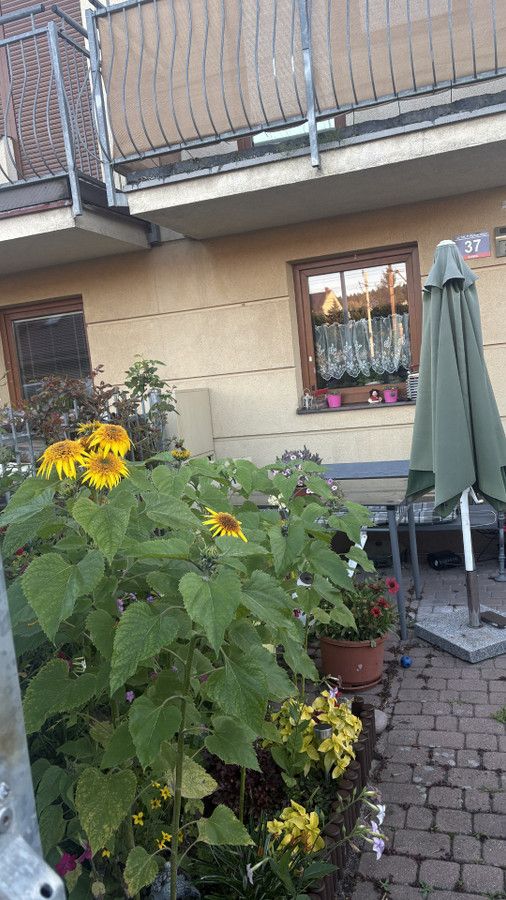 dom szeregowy, 5 pokoi Rumia, ul. Harcmistrza Pawła Wyszeckiego. Zdjęcie 14