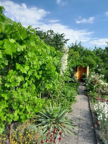 Działka rod Krotoszyn, ul. Raszkowska. Zdjęcie 1