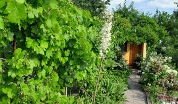 Działka rod Krotoszyn, ul. Raszkowska