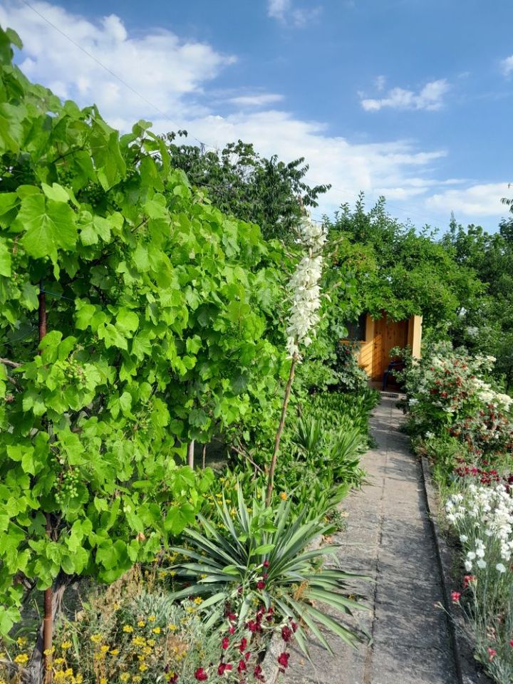 Działka rod Krotoszyn, ul. Raszkowska