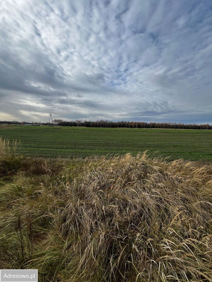 Działka budowlana Wólka Gonciarska. Zdjęcie 5