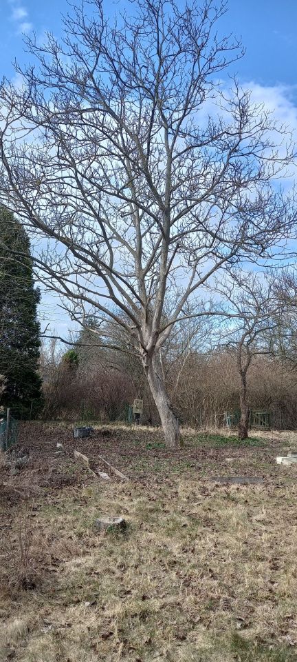 Działka rod Warszawa Mokotów, ul. Piaskarzy. Zdjęcie 7