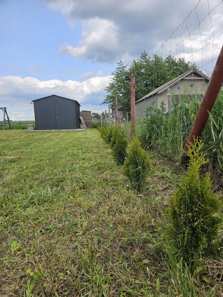Działka budowlana Graby. Zdjęcie 2