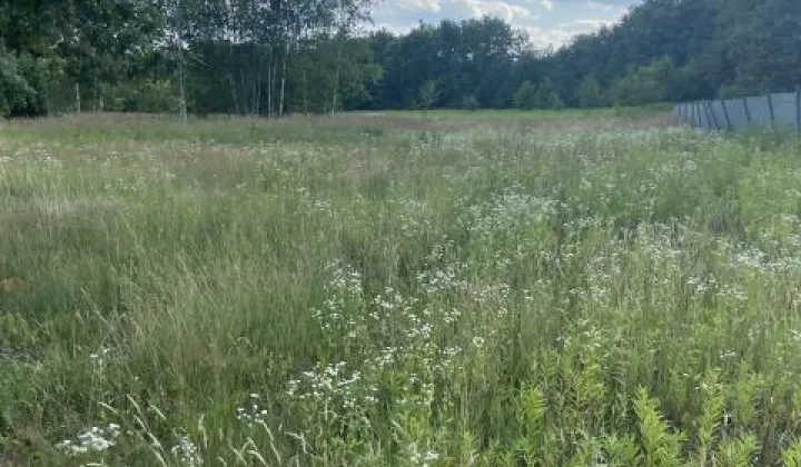 Działka siedliskowa Przeginia Narodowa