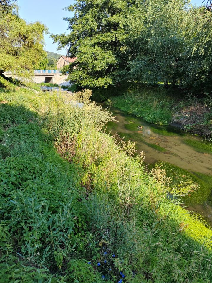 dom wolnostojący, 3 pokoje Jarnołtówek, Brak. Zdjęcie 7