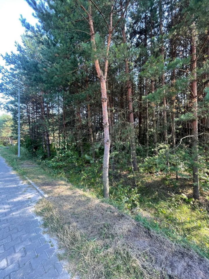 Działka budowlana Trzepieciny. Zdjęcie 5