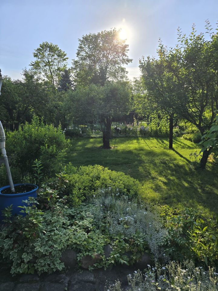 Działka rod Inowrocław Rąbin, Zapadle. Zdjęcie 2