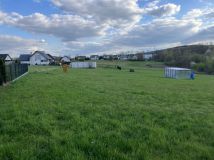 Działka rekreacyjna Brzozów Potok, ul. Spacerowa. Zdjęcie 2