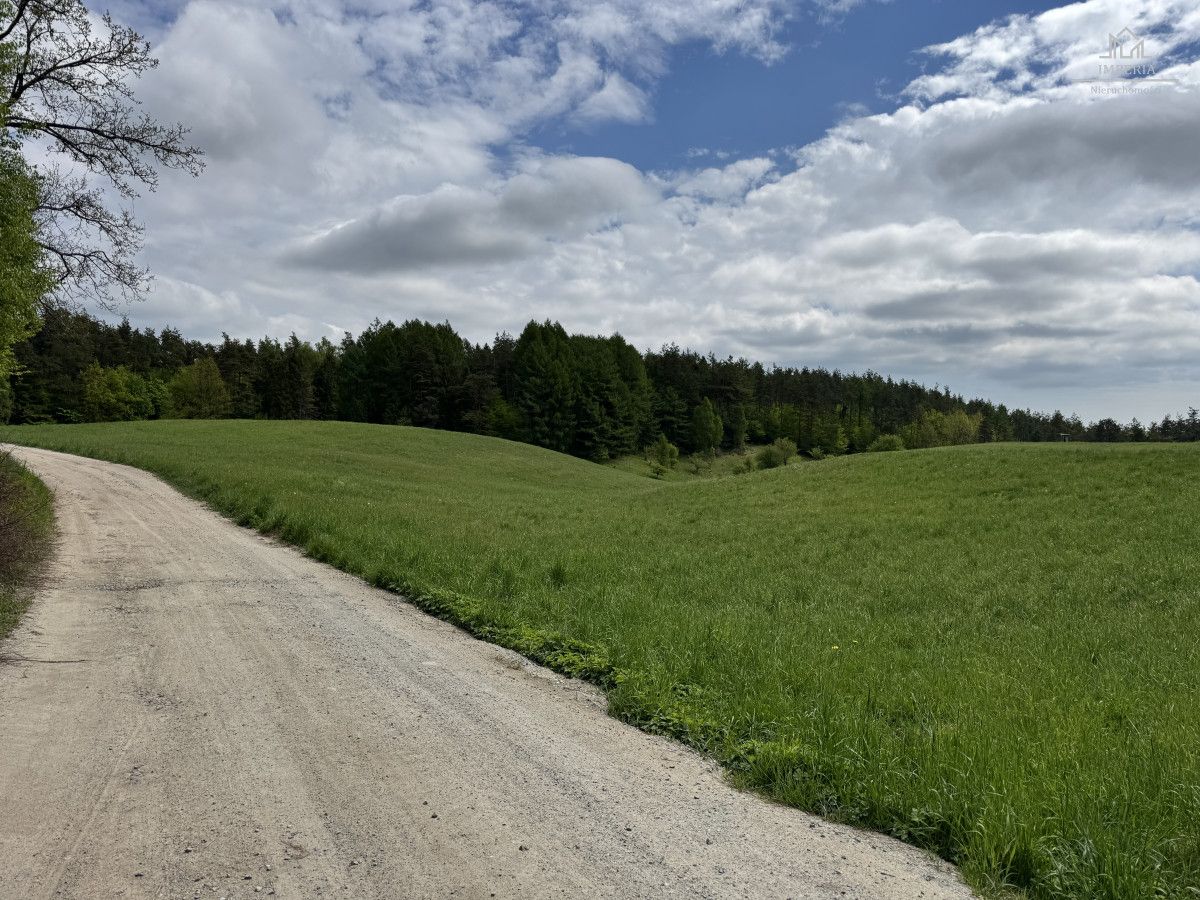 Działka budowlana Michalin, ul. Leśna Dąbrowa. Zdjęcie 11