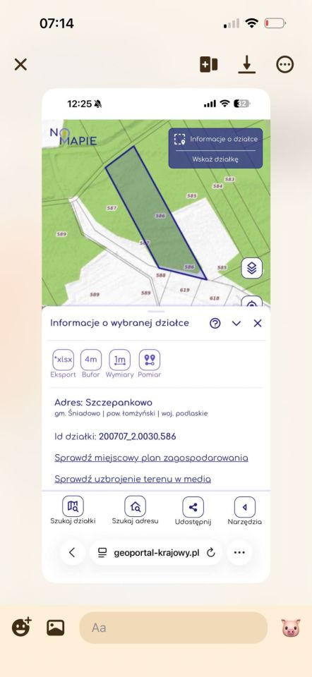 Działka leśna Szczepankowo. Zdjęcie 2