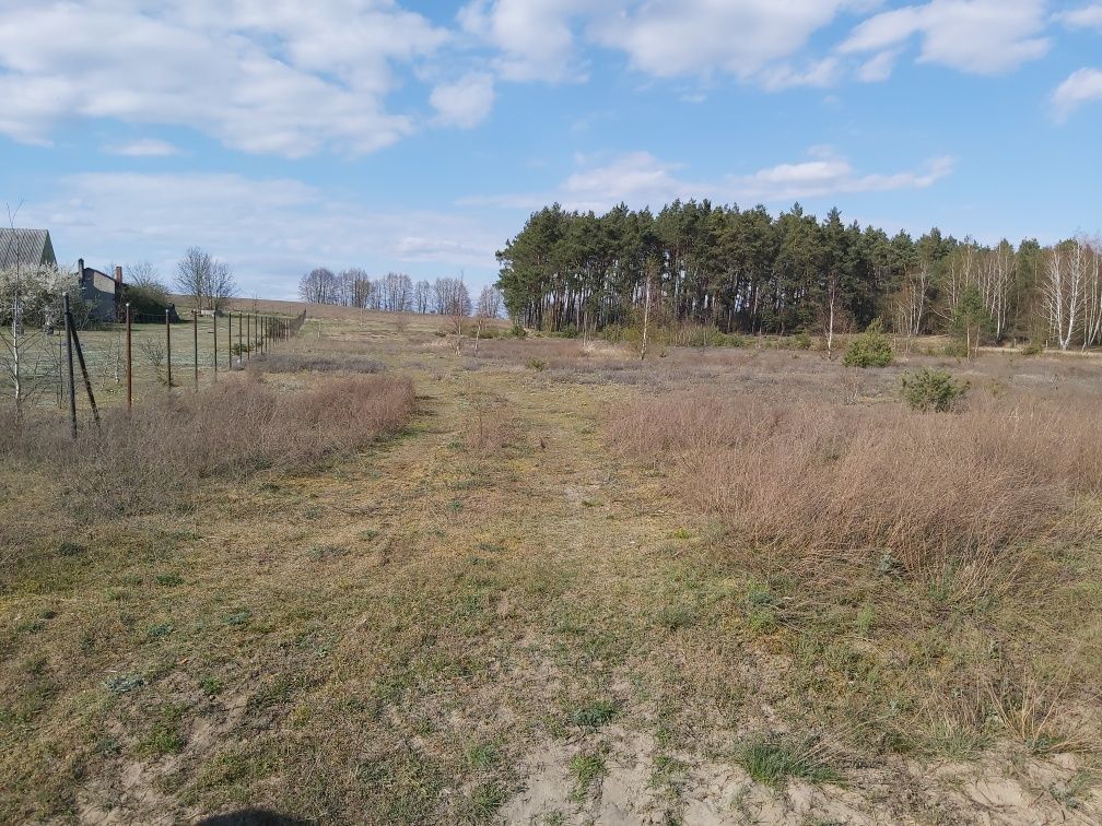 Działka budowlana Wysoka. Zdjęcie 6