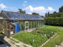 Działka rod Gdynia Oksywie, ul. Zielona