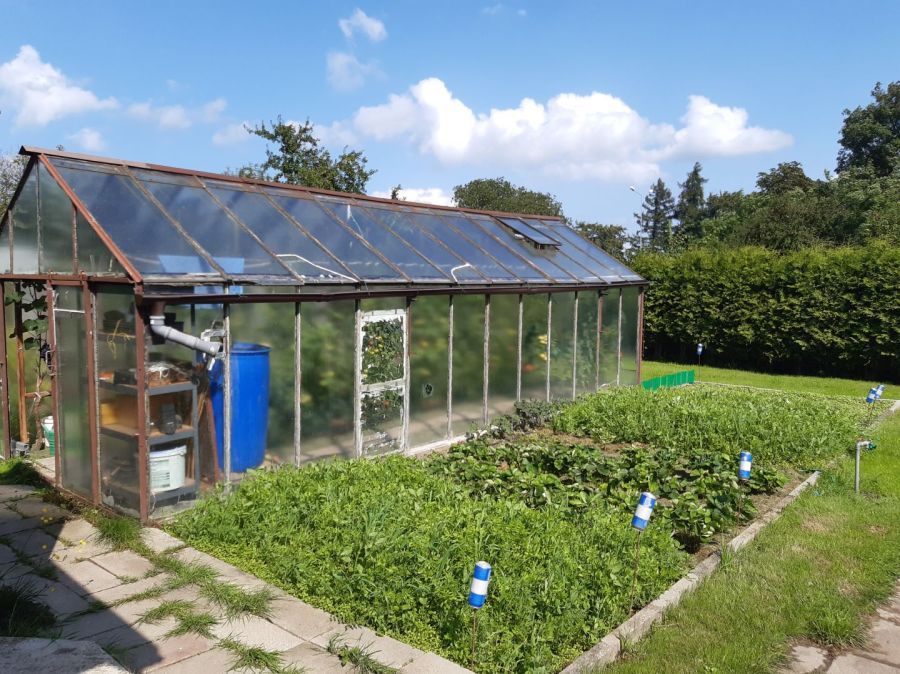 Działka rod Gdynia Oksywie, ul. Zielona