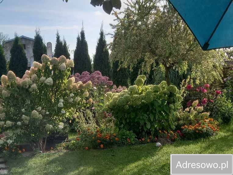 Działka rod Ostrowiec Świętokrzyski, ul. Niska. Zdjęcie 5