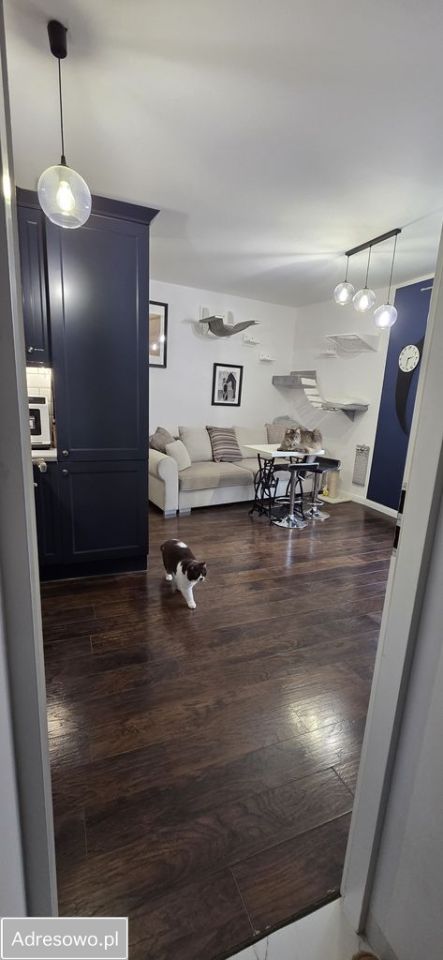 Mieszkanie 2-pokojowe Mikołów. Zdjęcie 8