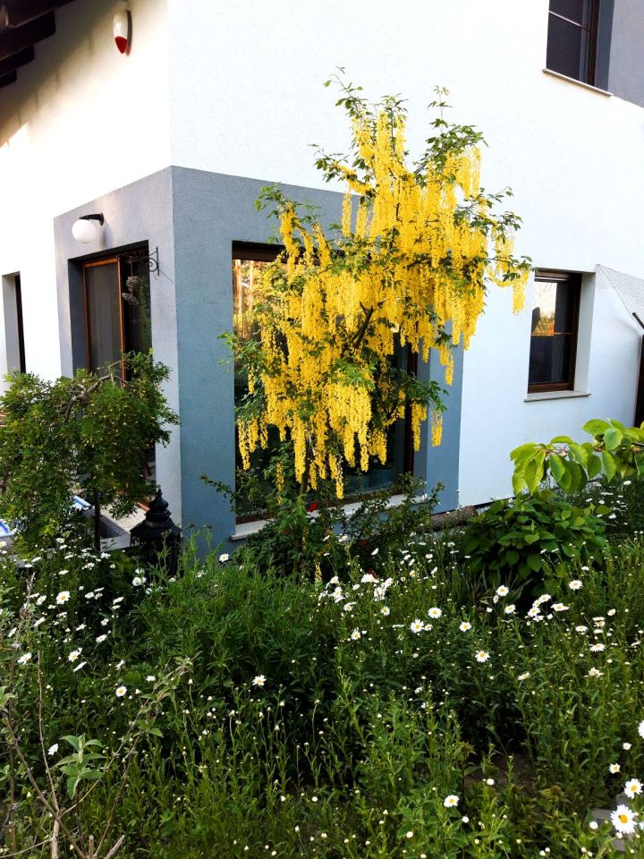 bliźniak, 4 pokoje Zielona Góra Racula. Zdjęcie 15