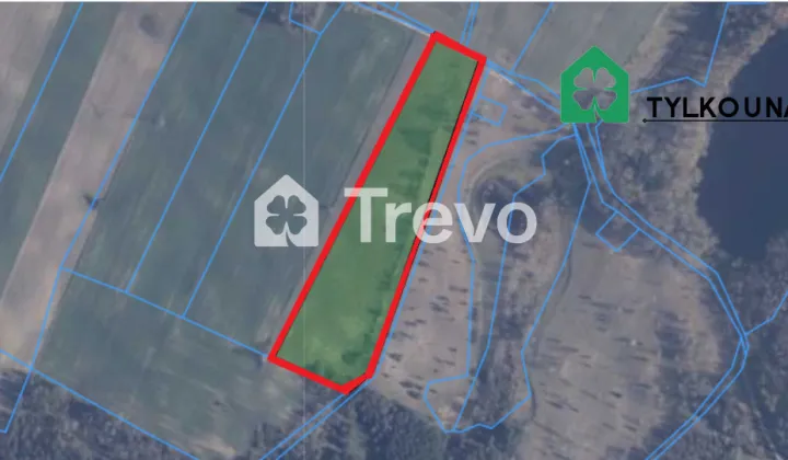 Działka siedliskowa Chrzanowo