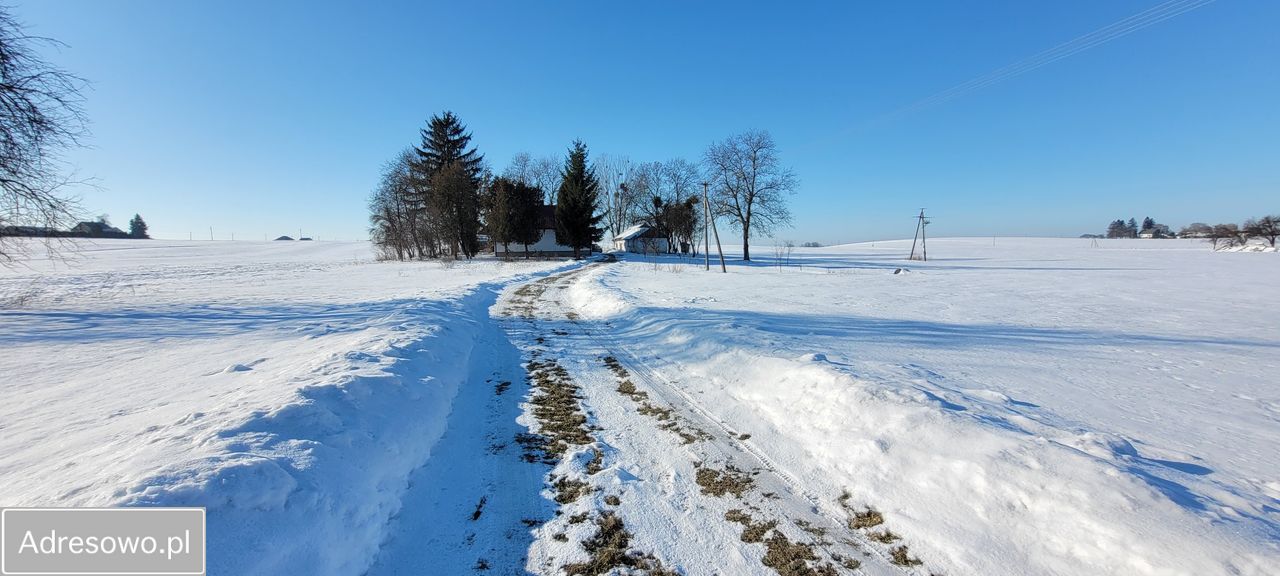 siedlisko, 3 pokoje Olchowiec-Kolonia. Zdjęcie 5
