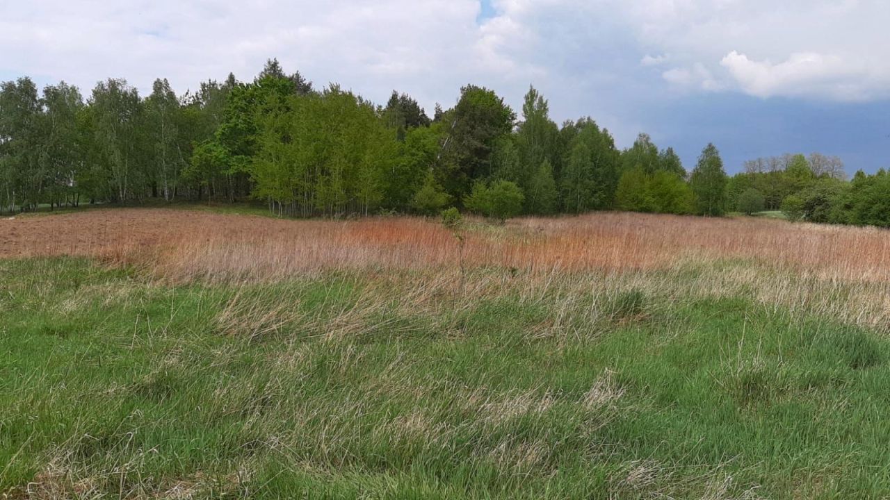 Działka budowlana Żarska Wieś. Zdjęcie 9