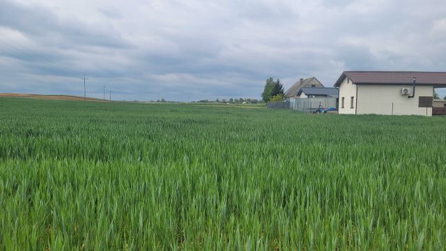 Działka rekreacyjna Miłachówek. Zdjęcie 1