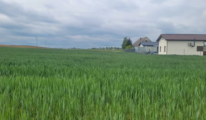 Działka rekreacyjna Miłachówek