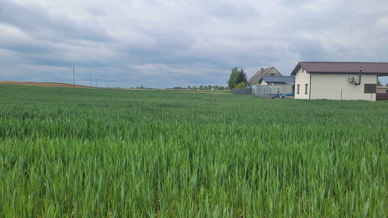 Działka rekreacyjna Miłachówek