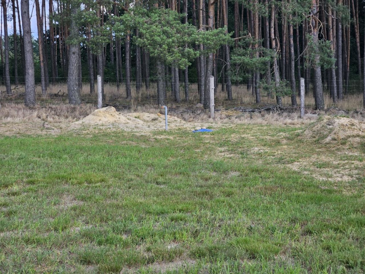 Działka budowlana Dąbie. Zdjęcie 8