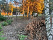 Działka budowlana Domaniewice, ul. Brzozowa. Zdjęcie 4