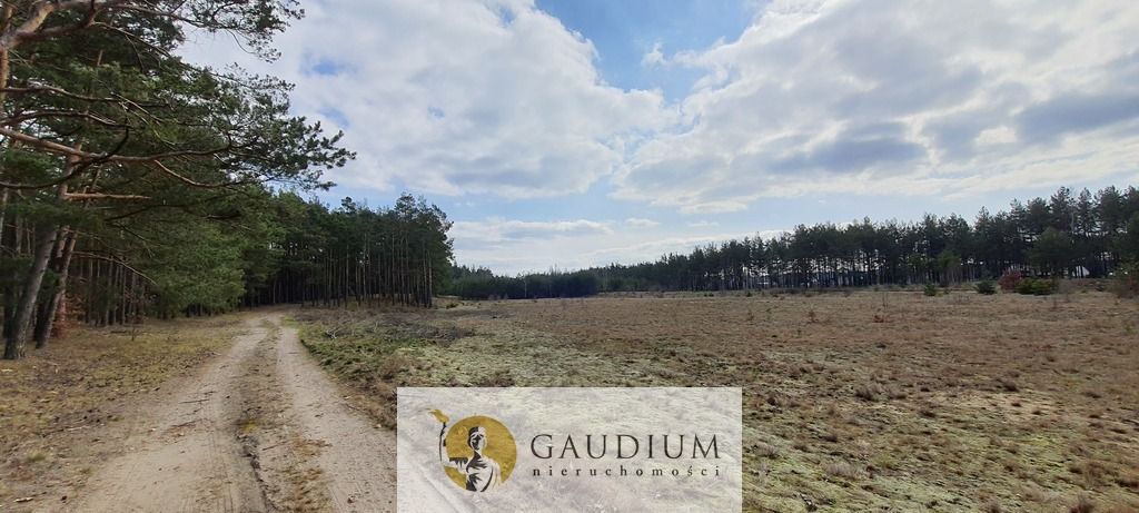 Działka budowlana Czersk, ul. Tucholska. Zdjęcie 13