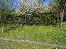 Działka rod Racibórz. Zdjęcie 2