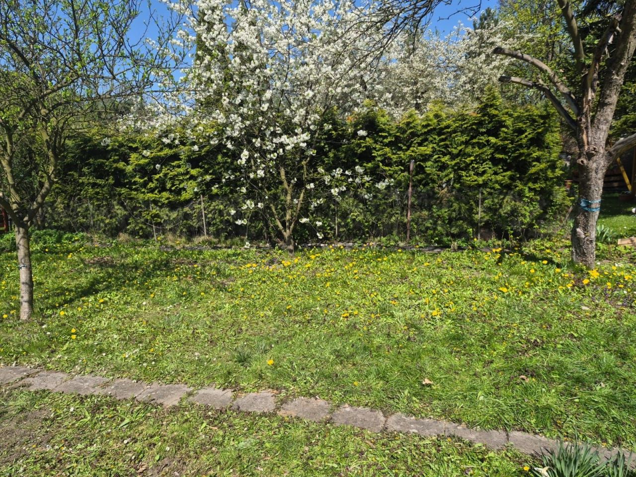 Działka rod Racibórz. Zdjęcie 3