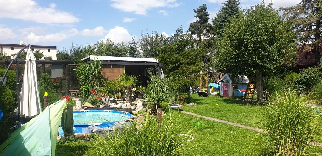 Działka rod Racibórz. Zdjęcie 1