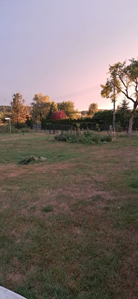 Działka rolno-budowlana Niedary, ul. Spacerowa. Zdjęcie 3