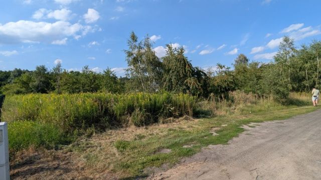 Działka budowlana Żarowo. Zdjęcie 1
