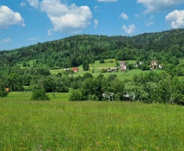 Działka budowlana Kurów. Zdjęcie 1