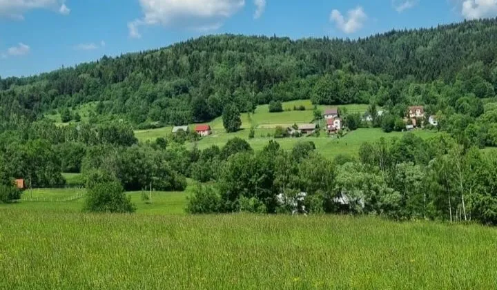 Działka budowlana Kurów