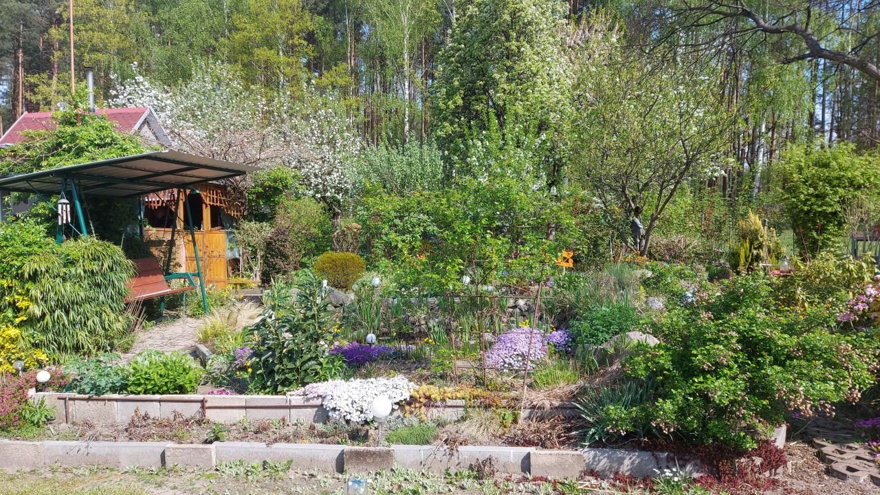 Działka rod Koźlice. Zdjęcie 8