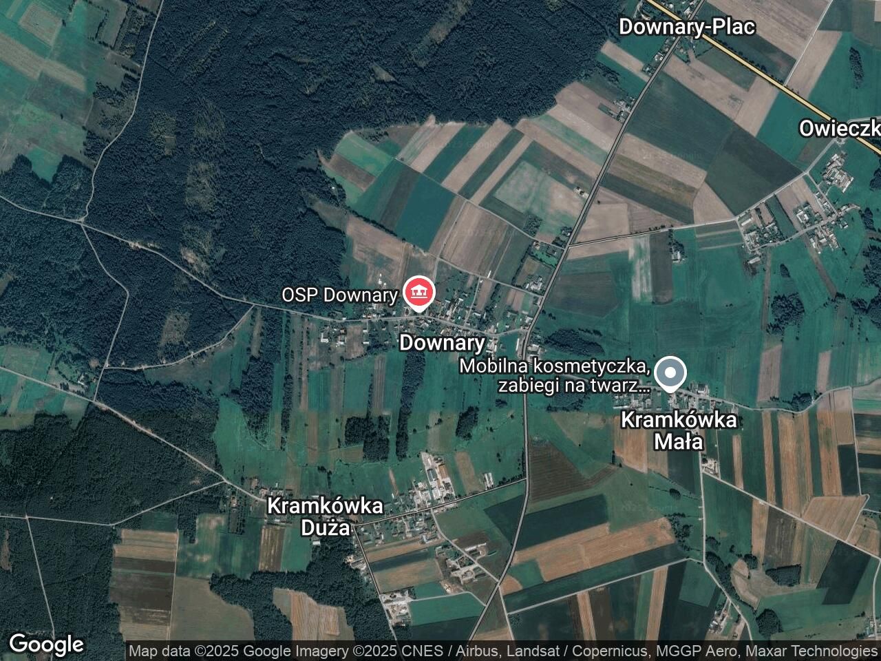 Działka leśna Downary