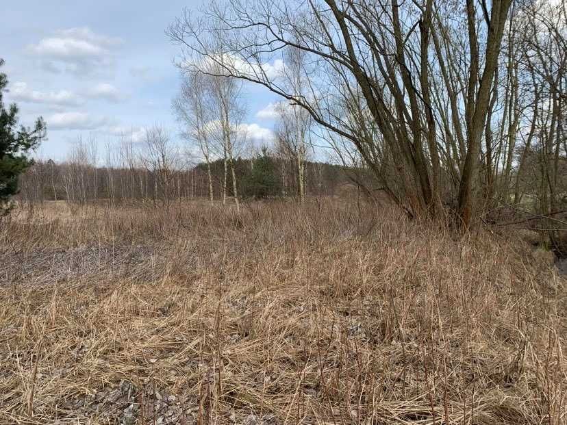 Działka budowlana Skoroszów, ul. Leśna. Zdjęcie 6