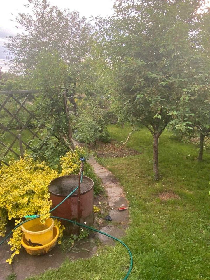 Działka rod Koszalin, ul. Gnieźnieńska. Zdjęcie 3