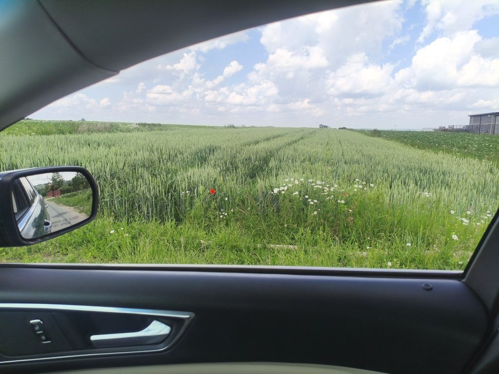 Działka rolno-budowlana Polekarcice. Zdjęcie 7